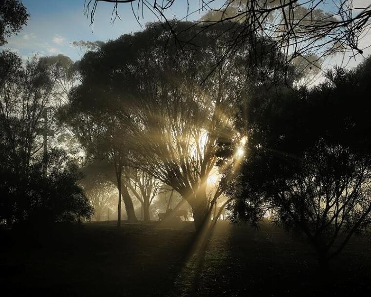 Pecan Hill Bnb Toodyay Exteriér fotografie