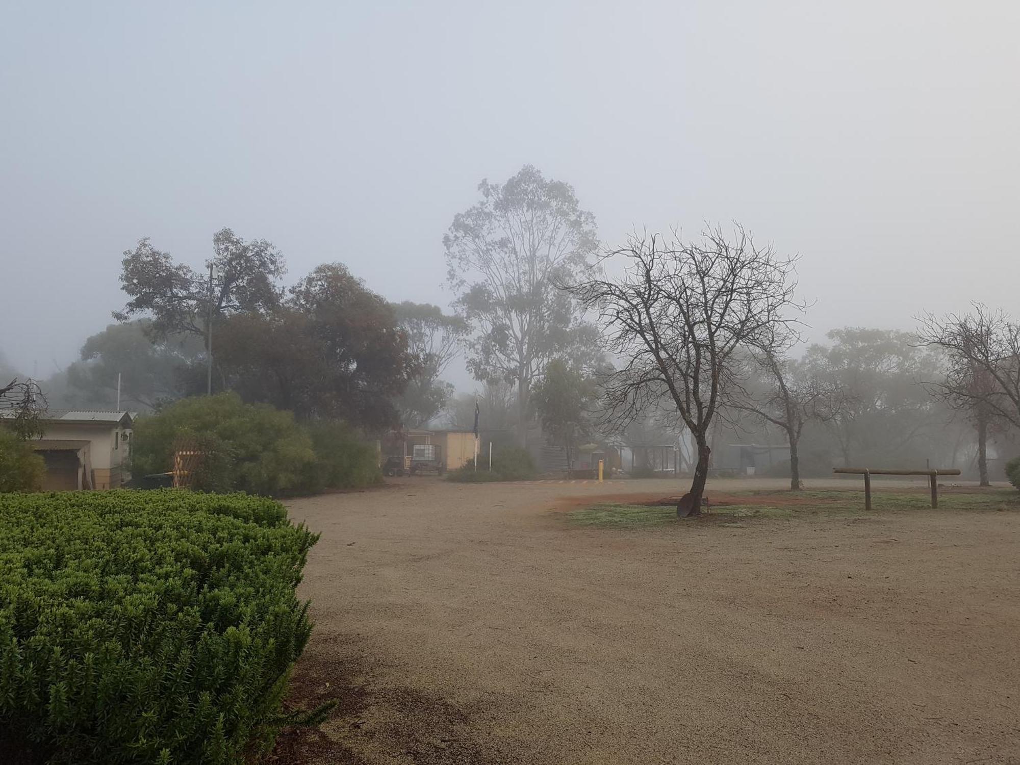 Pecan Hill Bnb Toodyay Exteriér fotografie