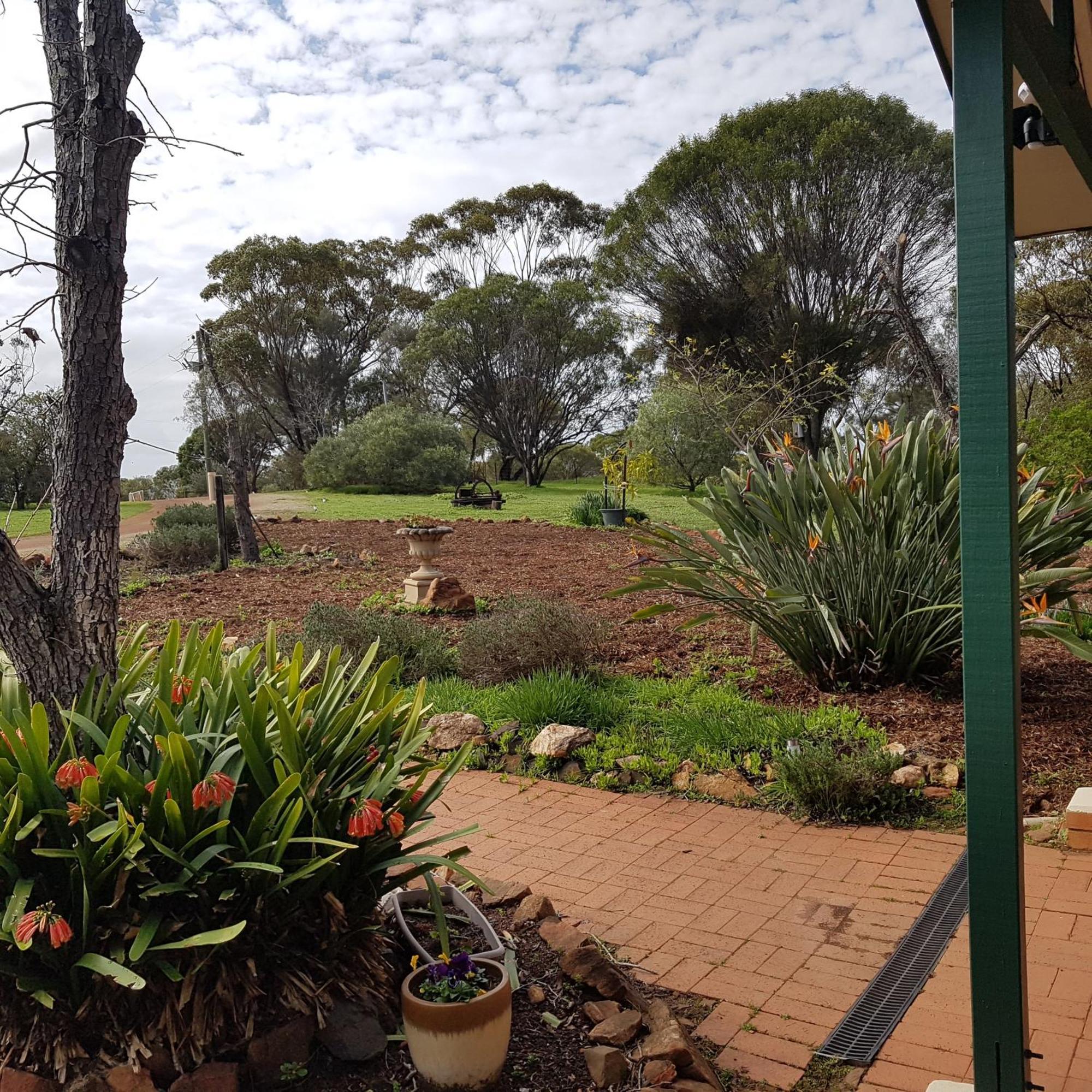 Pecan Hill Bnb Toodyay Exteriér fotografie