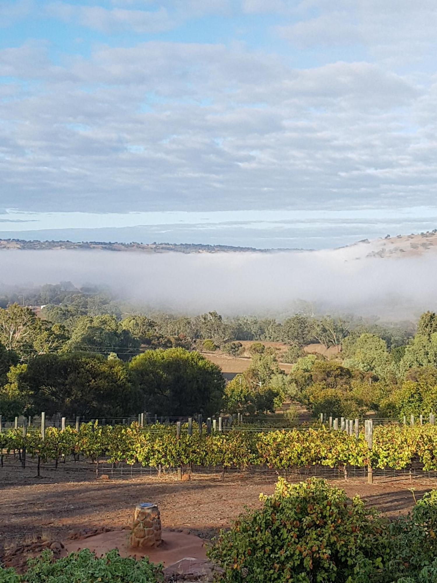 Pecan Hill Bnb Toodyay Exteriér fotografie
